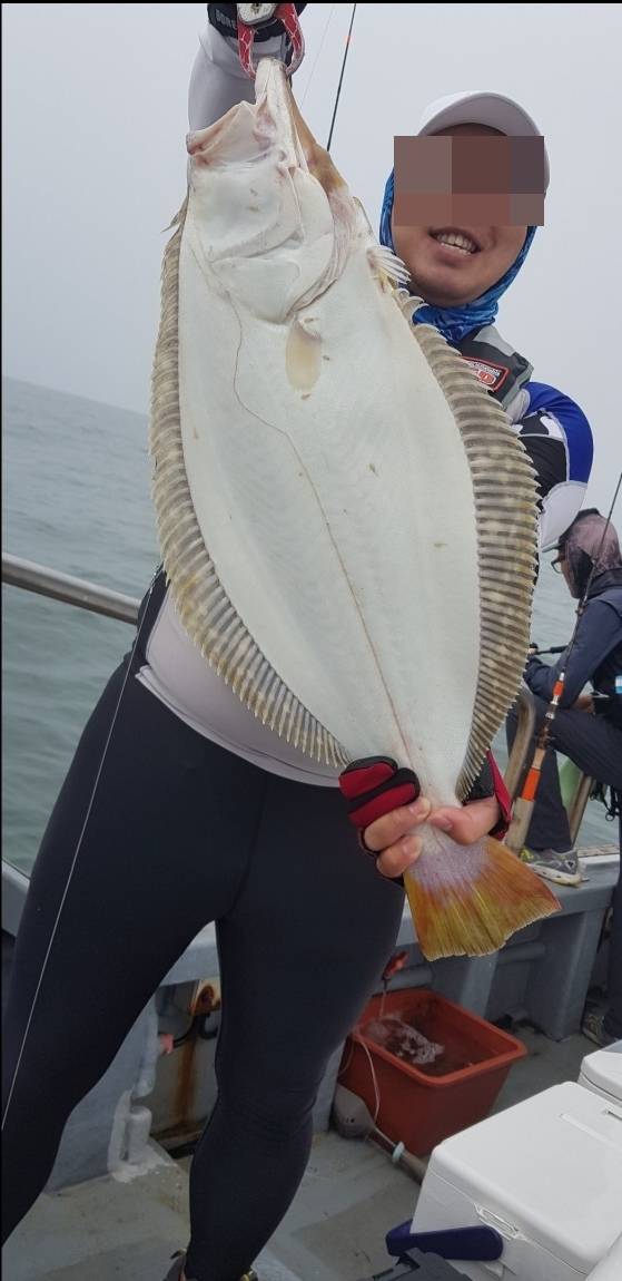 자연산 넙치의 특징인 새하얀 배. 다만 최근에는 양식기술의 발달로 배가 하얀 양식산 넙치도 나온다. /사진=최우영 기자