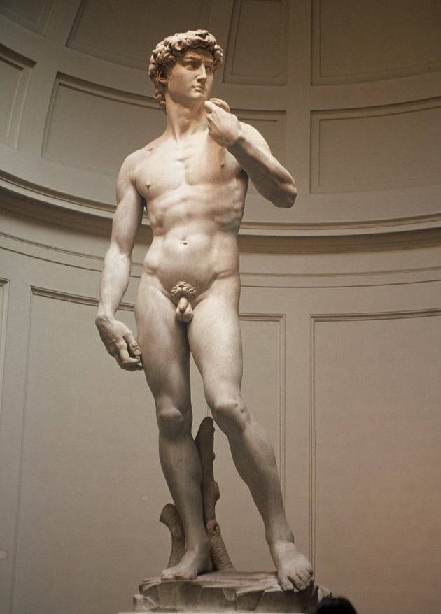 미켈란젤로의 '다비드상'/한경DB