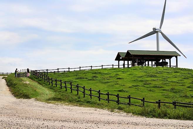 목책로에는 소와 양이 방목되는 목초지뿐 아니라 야생화가 가득한 꽃밭, 냇물이 흐르는 숲길 등 다양한 풍경이 곳곳에 숨어 있다. [사진/전수영 기자]