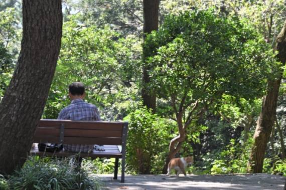 암남공원은 쉬어가기 좋다. 고양이도 많다. 그들은 사람을 무서워하지 않는다.