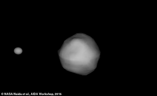 DART 우주선의 목포물인 디디모스 쌍성 소행성. 지름 약 780m인 디디모스의 둘레를 지름 160m인 디모르포스가 공전한다. DART는 그중 디모르포스에 충돌할 예정이다.(출처=NASA)