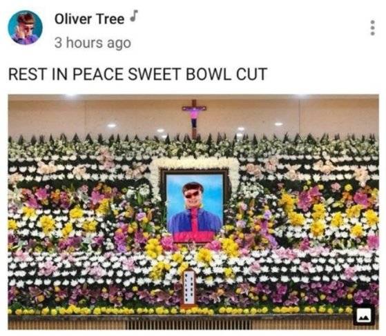 [올리버 트리 인스타그램 캡처]