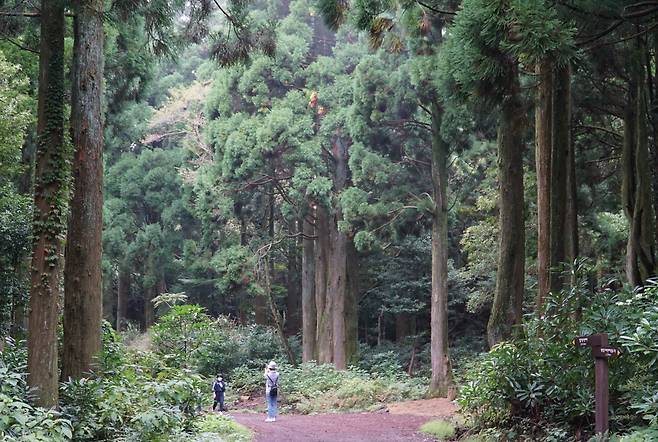 서귀포 치유의숲. 엄마와 아이의 산중 대화가 정겹다.
