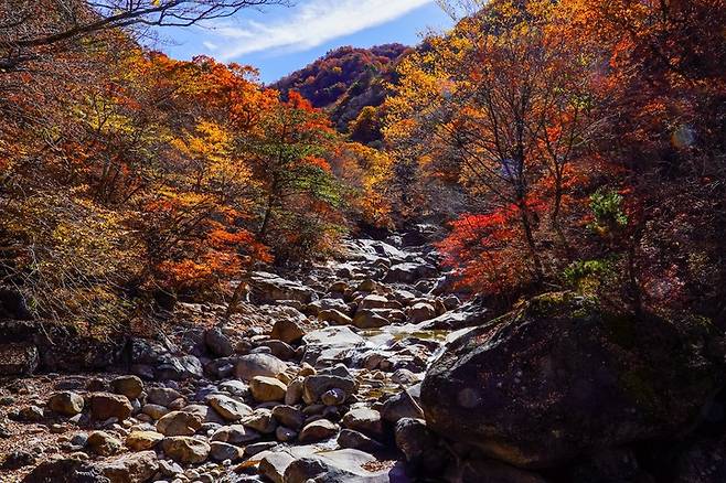 [산청=뉴시스] 지리산 비선담에서 바라본 단풍. *재판매 및 DB 금지