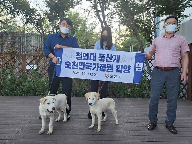 순천만국가정원 한방체험센터에서 살게 될 청와대 풍산개. 왼쪽이 숫컷 '가을', 오른쪽이 암컷 '아름'. (사진=순천시청 제공) *재판매 및 DB 금지