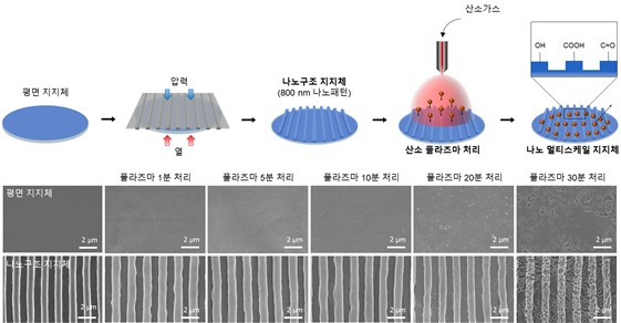 나노 멀티스케일 지지체 제작과정 및 전자현미경 이미지(전남대 김장호 교수 제공) ©뉴스1