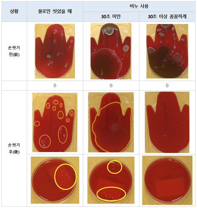 2019년 질병청이 진행한 화장실 이용 후 손씻기 방법에 따른 손의 오염도 실험결과.