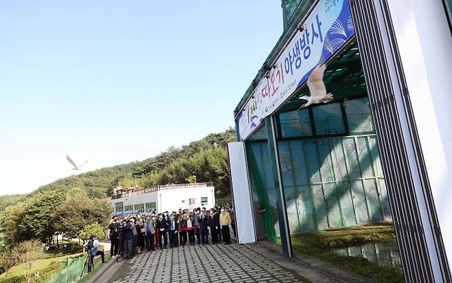 14일 오후 경남 창녕군 우포따오기복원센터에서 14일 열린 ‘제4회 우포 따오기 야생방사’ 행사에서 방사된 따오기가 힘차게 가을 하늘을 날고 있다. |연합뉴스