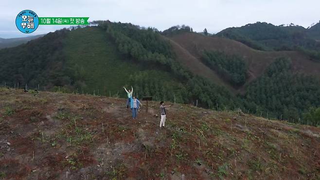 A screenshot from the teaser for “No Impact Day” shows three actors planting trees at the mountains of Andong, North Gyeongsang Province. (KBS)