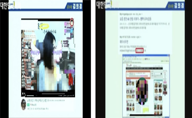 김의겸 의원이 문체위의 영등위 상대 국정감사에서 보여준 PPT. 사진은 국감 중계 화면을 모자이크 처리했다 / 사진 = 국회 영상회의록시스템