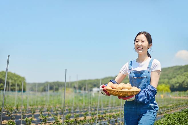 가을은 수확의 계절이다. 그 중에 10월은 수확이 시작되는 달이어서 먹거리가 풍성하다. 게티이미지뱅크