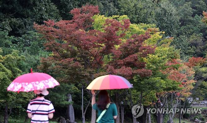 가을비 '보슬보슬' 지난 8일 오후 시민들이 우산을 쓴 채 충북 단양군의 한 거리를 걷고 있다. [연합뉴스 자료사진]