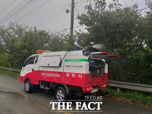 세종시가 오는 27일까지 돌발해충 공동방제를 실시한다. / 세종시 제공