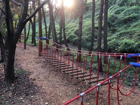 청안동 유아숲체험원.