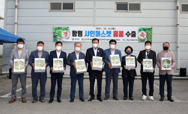 ▲함평군의 지역특화작목인 ‘함평 샤인머스켓’이 홍콩 첫 수출길에 올랐다ⓒ함평군