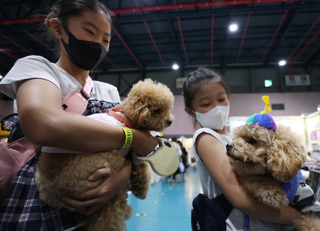 서울 강남구 SETEC에서 열린 2021 서울펫쇼 관람객이 반려견을 안고 있다. (사진=연합뉴스)