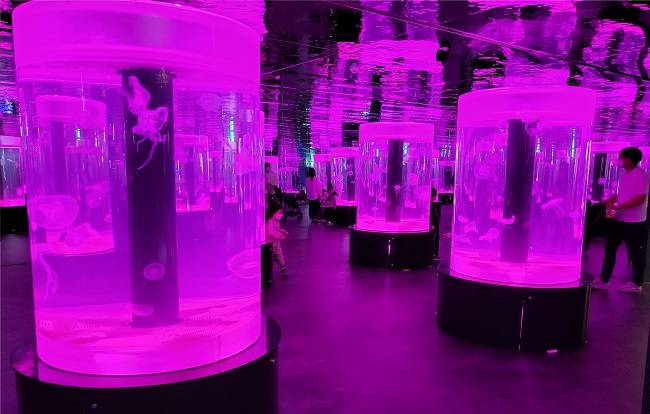 해파리를 가까이서 관찰할 수 있는 몽환적인 분위기의 ‘젤리피시 존’. /사진=송경은 기자
