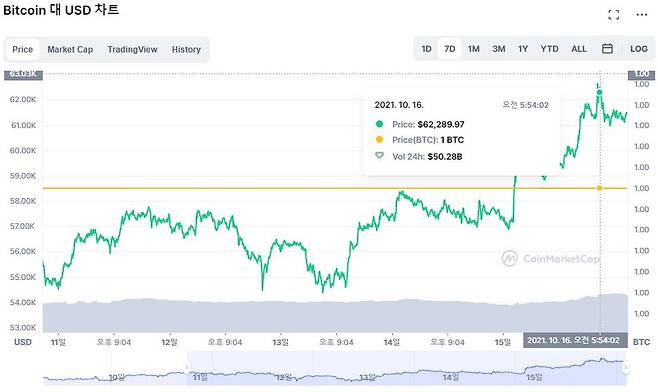 미국 달러화 대비 비트코인 가격 추이 /사진=코인마켓캡