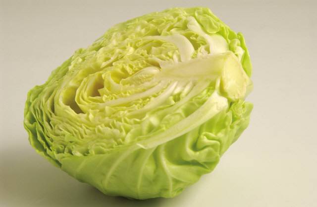 양배추는 위염 완화에 좋지만 소화불량은 악화시킬 수 있다./사진=클립아트코리아
