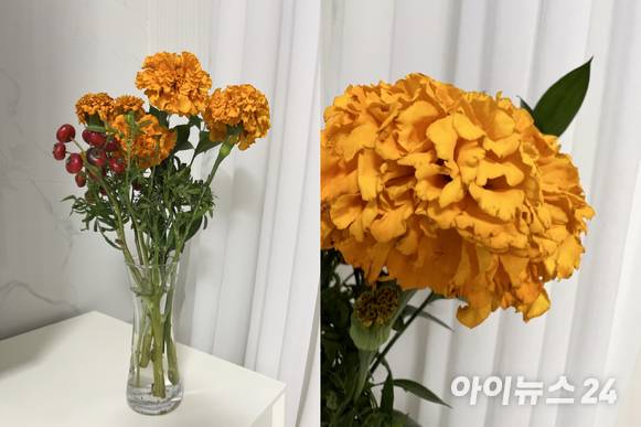 아이폰13 프로로 꽃을 촬영한 모습. 물체에 가까이 다가가면 접사 모드로 전환돼 세밀한 부분도 표현해낸다. [사진=서민지 기자]