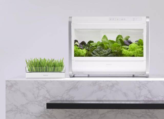 [서울=뉴시스] 교원그룹 식물재배기 '웰스팜'.