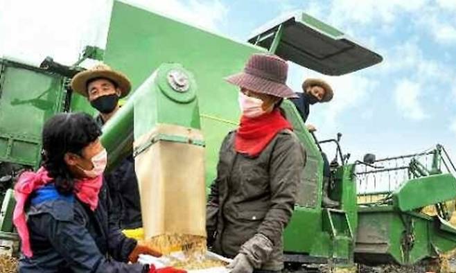 북한 노동당 기관지 노동신문은 16일 "올해 농사의 성과적 결속을 위해 총돌격전을 벌이고 있다"며 증산군 풍정협동농장 등 가을걷이 현장 소식을 전했다. 뉴스1