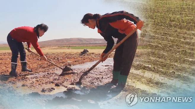북한의 농촌 근로자들(CG) [연합뉴스TV 제공]