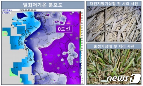 (대전ㆍ충남=뉴스1) 김종서 기자 = 연일 영하권 가을 추위가 기승을 부리면서 18일 대전과 충남 홍성에 첫 서리가 관측됐다. (대전지방기상청 제공) © 뉴스1