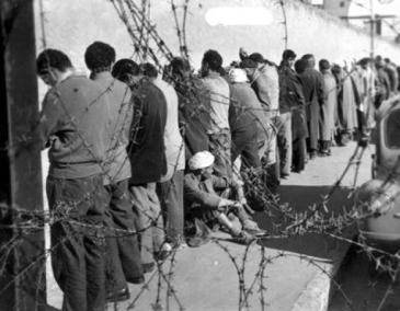 강제수용소에 수감된 알제리 전쟁 포로들. 만 8년 전쟁으로 알제리인 70만~150만 명이 숨졌고, 프랑스 군인 1만8,000명과 민간인 2,788명이 희생됐다. 위키피디아.