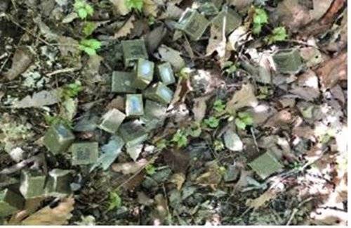 광견병 미끼예방약. 서울시 제공=연합뉴스