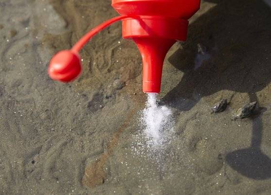 맛구멍에 소금을 뿌리면 삼투압 변화를 견디지 못하고 위로 올라오는 맛조개를 만날 수 있다.