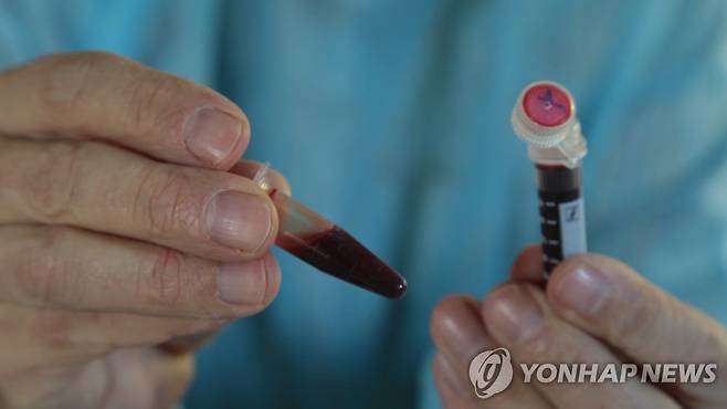 [사진 = 연합뉴스]