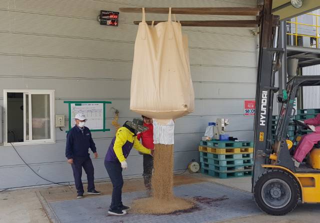 ▲포항시, 장기 봉산들에서 생산된 무농약 벼를 수매하고 있다.ⓒ포항시 제공