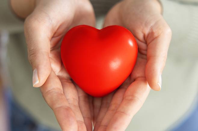 심장. 게티이미지뱅크