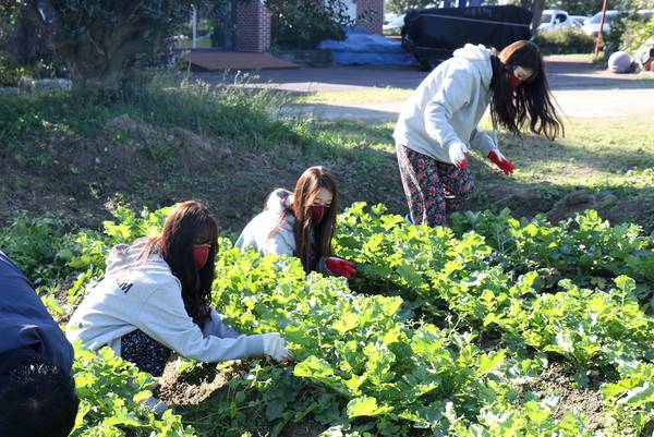 경남FC 치어리더 '루미너스' / 경남FC 제공