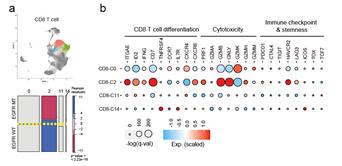 EGFR 돌연변이와 EGFR 야생형 폐암 조직에서 CD8 T세포 아형의 유전자 발현량의 차이./사진=연세대 의료원