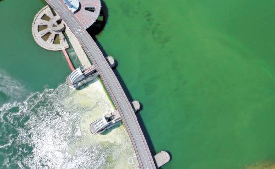 지난 8월 4일 대구 달성군 다사읍 죽곡리와 경북 고령군 다산면 곽촌리를 잇는 강정고령보 일대 낙동강이 녹조로 인해 짙은 초록을 띠고 있다. 연합뉴스