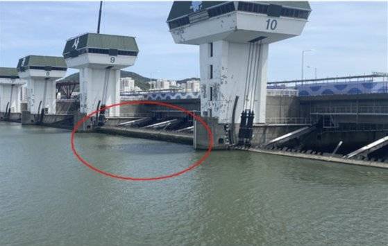 올해 낙동강 하굿둑 1차 개방(수문 저층 개방,해수유입). [사진 부산시]