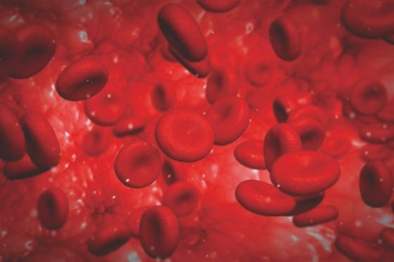 그래픽으로 표현한 적혈구. [중앙포토]