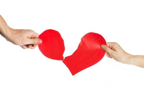 [사진 셔터스톡]