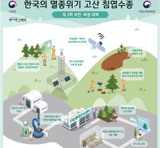한국의 멸종위기 고산 침엽수종 제2차 보전.복원 대책 안내문./사진제공=산림청