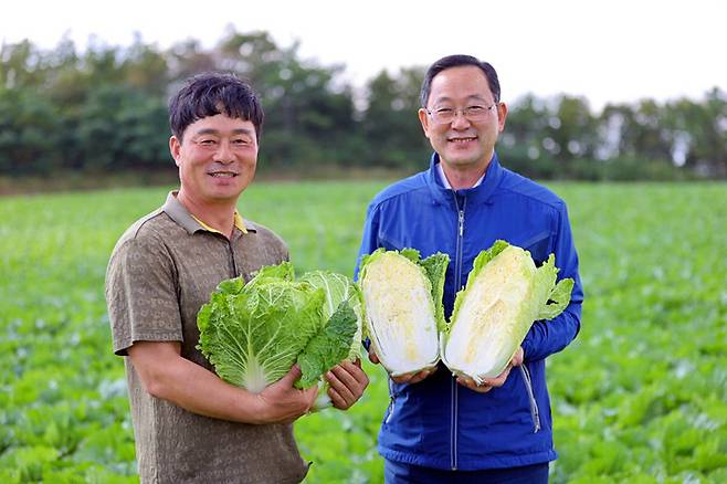 [해남=뉴시스] 해남배추 홍보하는 명현관(오른쪽) 해남군수.  *재판매 및 DB 금지
