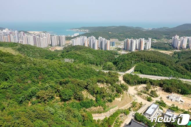 기장군 일광신도시 전경(기장군청 제공)© 뉴스1