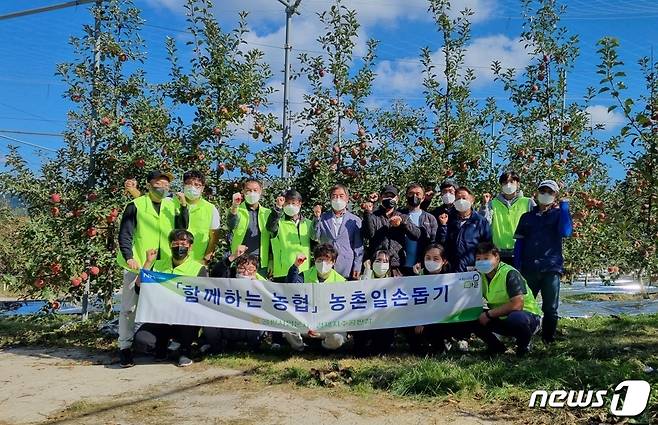 (서울=뉴스1) 나혜윤 기자 = 농협경제지주 공판사업분사와 구리공판장 직원들이 20일 강원도 철원군에 위치한 사과농가에서 영농철 농촌일손돕기를 실시했다.© 뉴스1