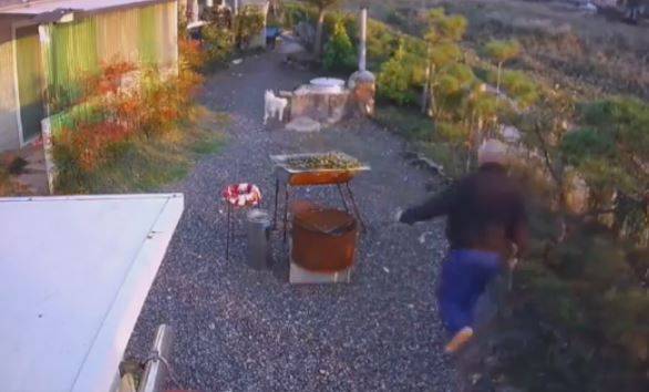 19일 오후 5시 13분경, A씨 집 뒷마당에 무단 침입한 중년 남성이 삽을 들고 A씨의 반려견을 쫓고 있다./A씨 제공