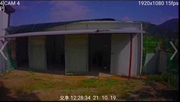 A씨 집 뒷마당에 설치된 견사/A씨 제공