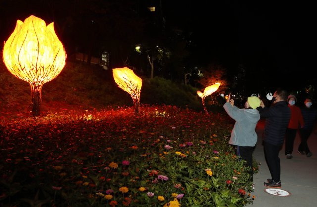 19일 서울 노원구 당현천에서 시민들이 ‘노원달빛산책’에 등장한 예술 등(燈)과 뉴미디어 작품을 보며 산책하고 있다.