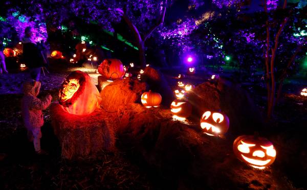 [사진 출처 = 연합뉴스]