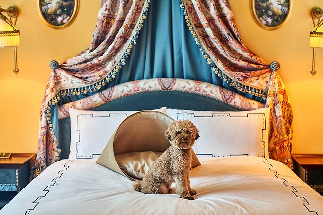 신세계 레스케이프