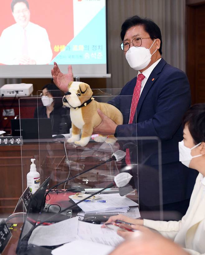 [수원=뉴시스] 국회사진기자단 = 20일 경기 수원 경기도청에서 열린 국토교통위원회의 경기도에 대한 국정감사장에서 송석준 국민의힘 의원이 '대장동 개발을 공공의 탈을 쓴 개발'이라고 주장하며 양의 탈을 쓴 강아지 인형을 꺼내 발언하고 있다. 2021.10.20. photo@newsis.com